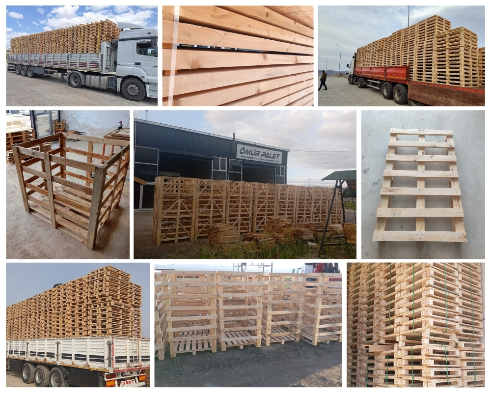 Evere Houten Kisten, Europallets Groothandel Kopen